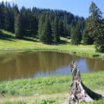 Lake above Super Chatel in the summer