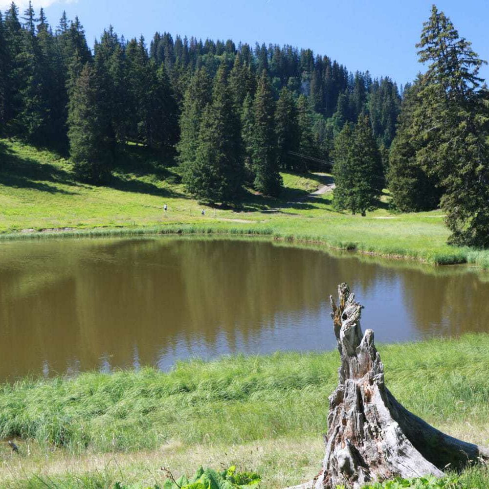 The lake above Super Chatel in the summer
