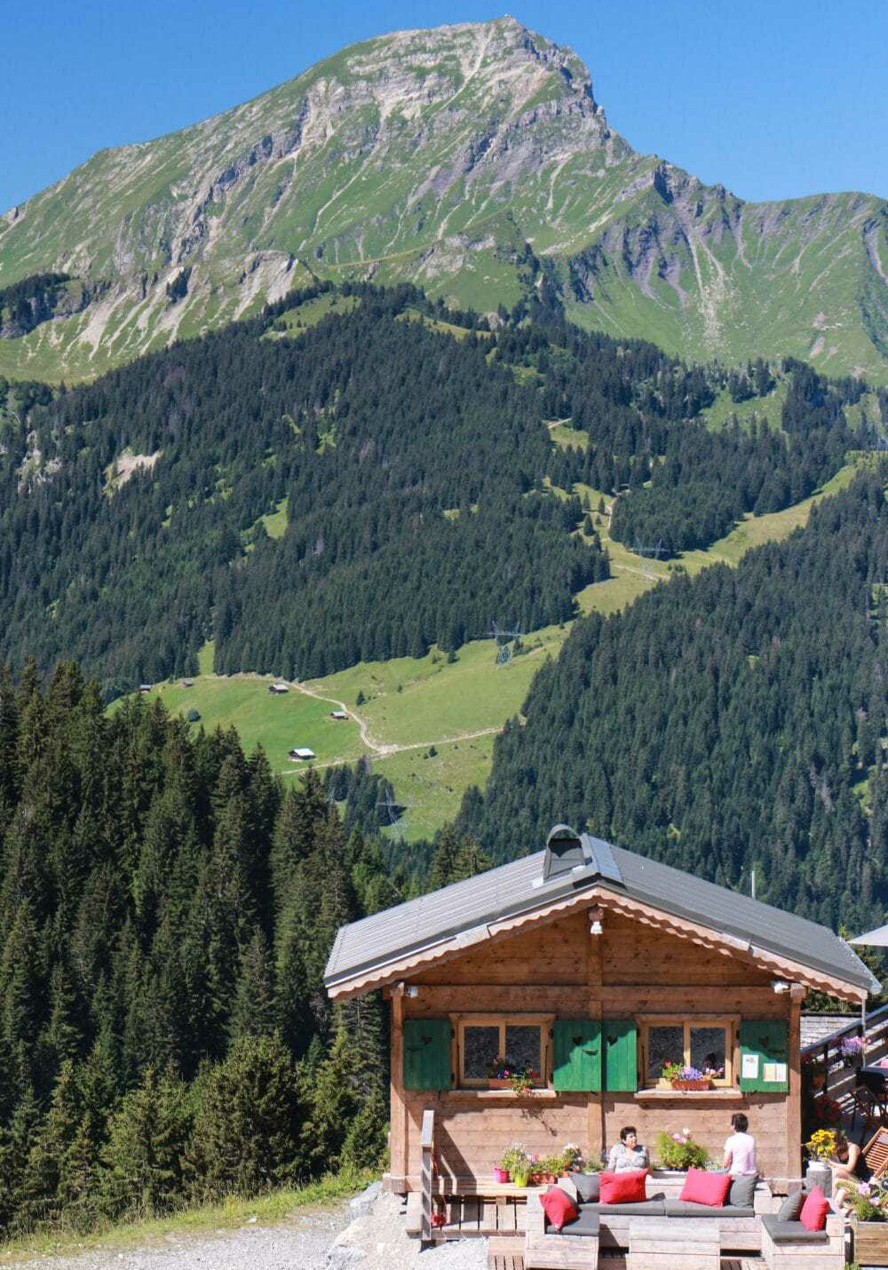 A view over Mont de Grange from Super-Chatel in summer