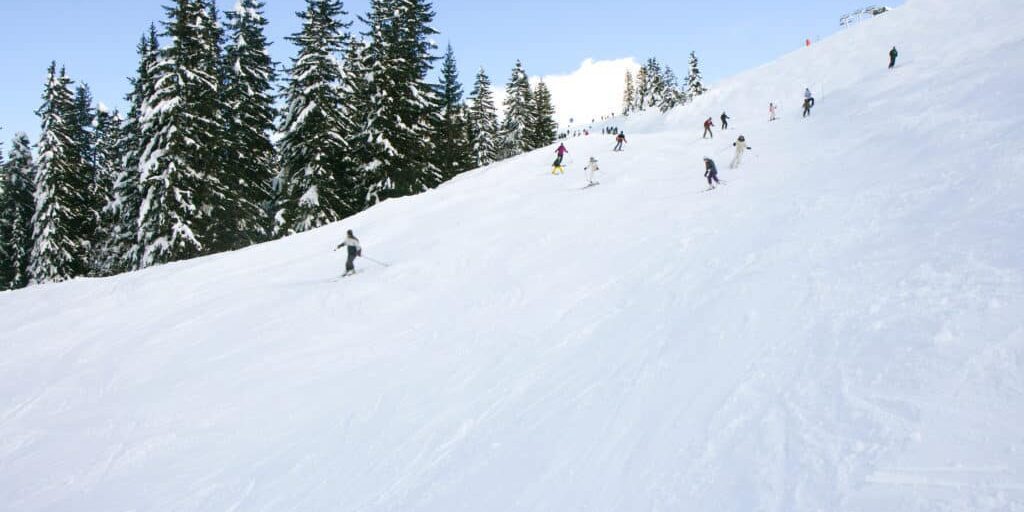 Skiing-piste with trees