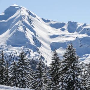 ski tracks down mountain